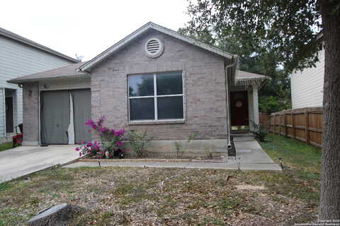 Bermuda Palm, SAN ANTONIO, TX 78245