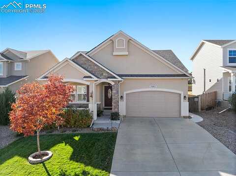 Dutch, COLORADO SPRINGS, CO 80925