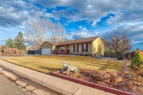 Blue Jay, PARKER, CO 80138