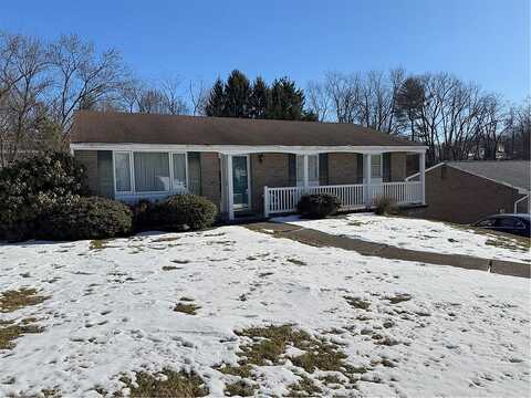 Pitchfork, MC KEES ROCKS, PA 15136