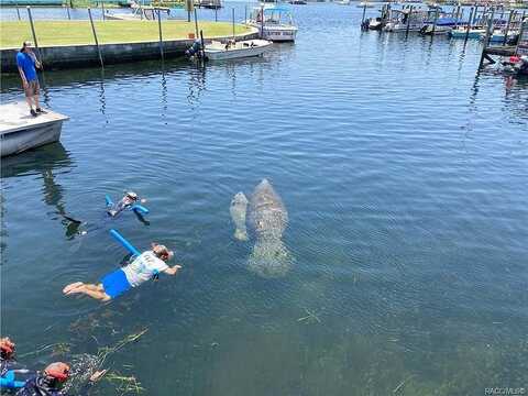 Cannondale, CRYSTAL RIVER, FL 34429