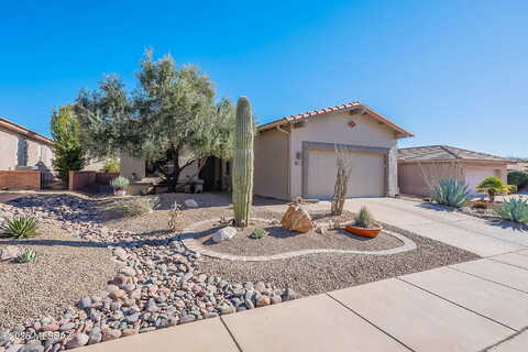 Longmore, GREEN VALLEY, AZ 85622