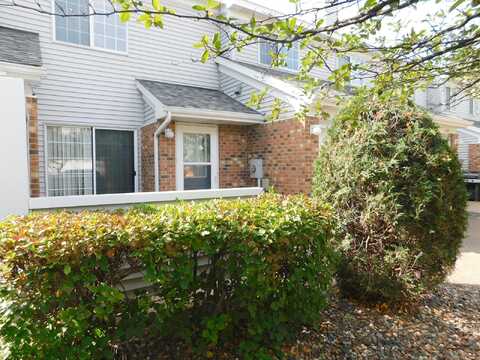 Big Linden, SAINT PAUL, MN 55110