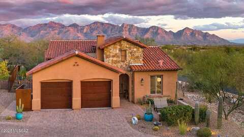 Mickelson Canyon, ORO VALLEY, AZ 85755