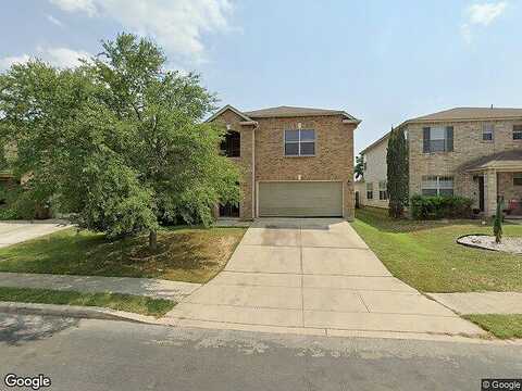 Butterfly, SAN ANTONIO, TX 78254