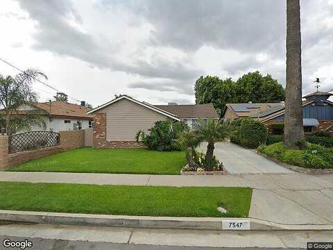 Bluebell, NORTH HOLLYWOOD, CA 91605