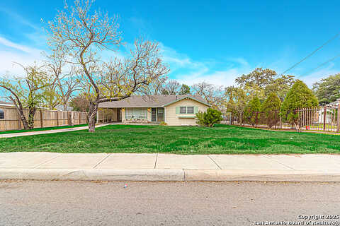 Palm, SAN ANTONIO, TX 78228