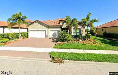 Whisk Fern, VENICE, FL 34293