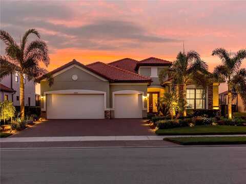 Whisk Fern, VENICE, FL 34293