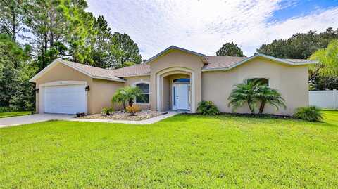 Ulmaceal, PALM COAST, FL 32164