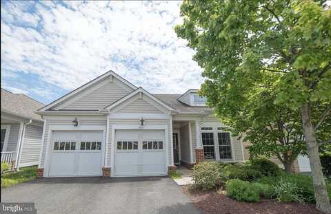 White Orchid, LORTON, VA 22079