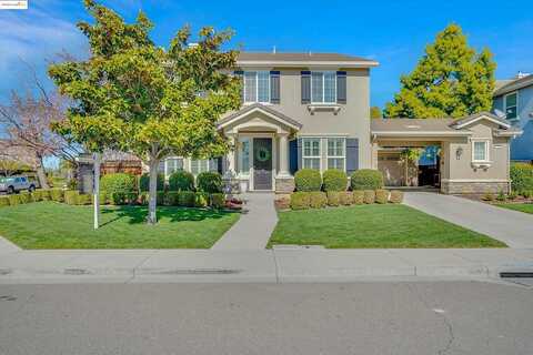 Bottlebrush, OAKLEY, CA 94561