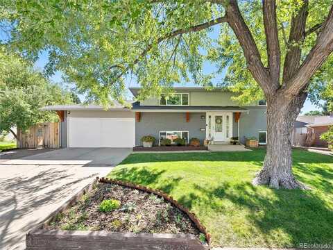 Buffalo, LITTLETON, CO 80120