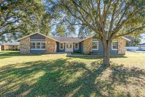 Leopard, WINTER SPRINGS, FL 32708