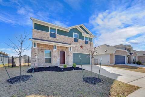 Sparkling Light, DEL VALLE, TX 78617