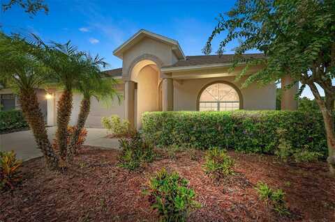 Waterville, WESLEY CHAPEL, FL 33543