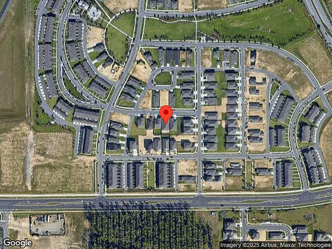Honeybell, WINTER GARDEN, FL 34787