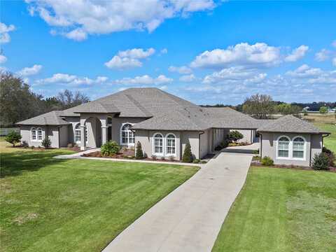 Trotting Horse, TAVARES, FL 32778