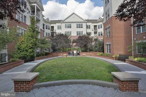Elm, CONSHOHOCKEN, PA 19428