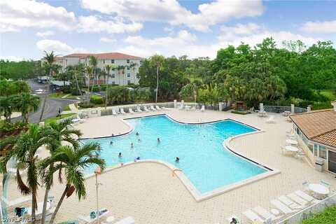 Palm Tree, CAPE CORAL, FL 33904