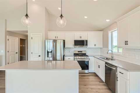 Aster, BUFFALO, MN 55313