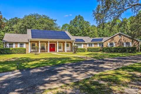 Pansy, MILTON, FL 32570