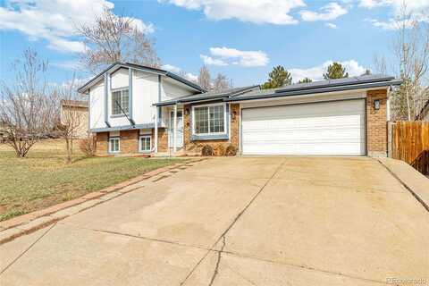 David, LITTLETON, CO 80128