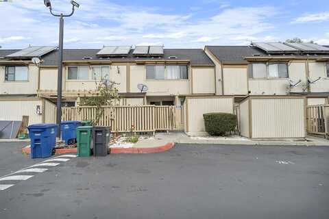 Rock Rose, HAYWARD, CA 94544