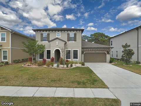 Diamonds Palm, WESLEY CHAPEL, FL 33543