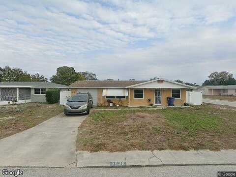 Almond, HOLIDAY, FL 34691