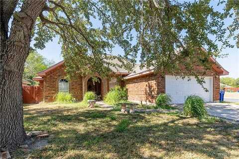 Xanthisma, MCALLEN, TX 78504