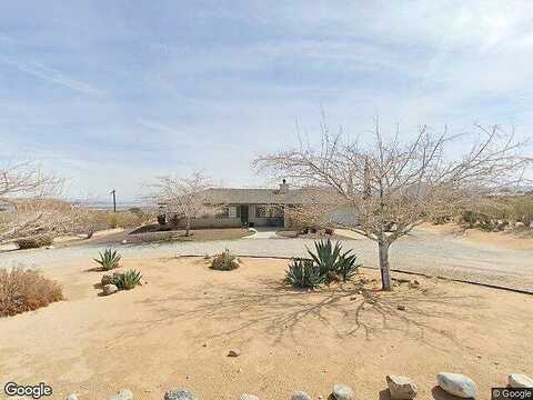Saddleback, JOSHUA TREE, CA 92252