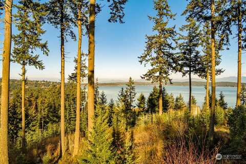 Dove, OAK HARBOR, WA 98277
