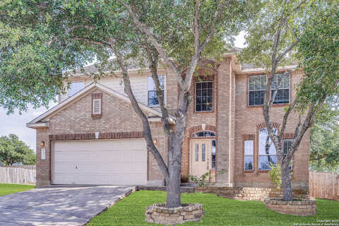 Buckthorn, SAN ANTONIO, TX 78261