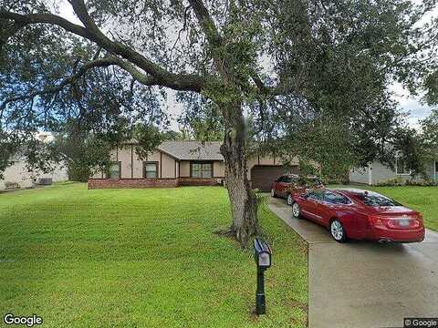 Chicory, PALM BAY, FL 32907