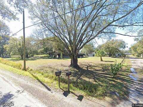 Pippin, PLANT CITY, FL 33567