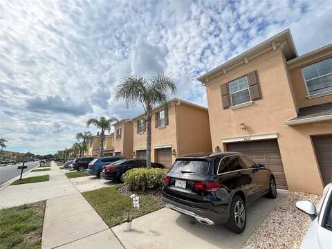 Trumpet Vine, TRINITY, FL 34655