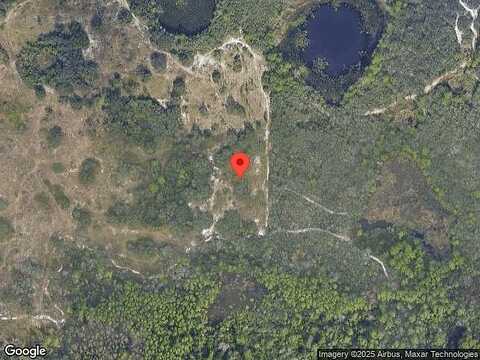 Blazing Star, CLERMONT, FL 34714