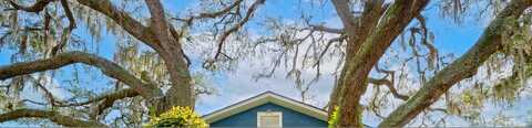 Dexter, TAMPA, FL 33604