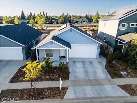 Pin Oak, CHICO, CA 95928