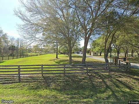 Saddle, NEW SMYRNA BEACH, FL 32168