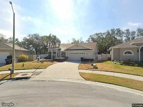 Dana, SAFETY HARBOR, FL 34695