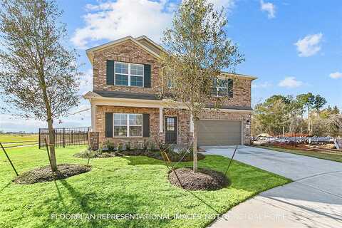 Raven, MONTGOMERY, TX 77316