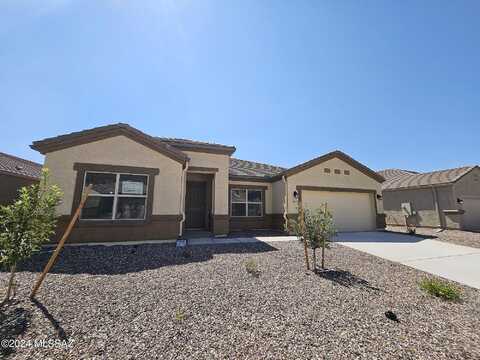 Black Dalea, MARANA, AZ 85653