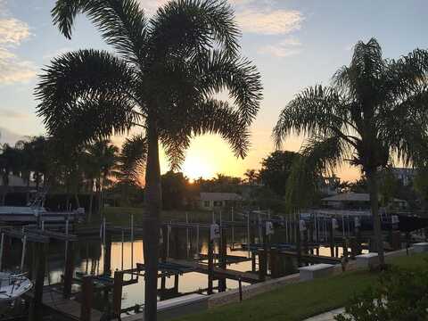 Bald Eagle, MARCO ISLAND, FL 34145