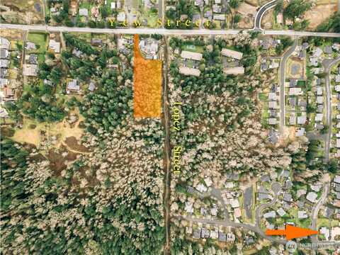 Yew, BELLINGHAM, WA 98229