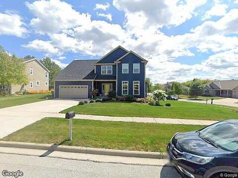 Aster, PORT WASHINGTON, WI 53074