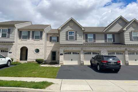 Mulberry, NAZARETH, PA 18064