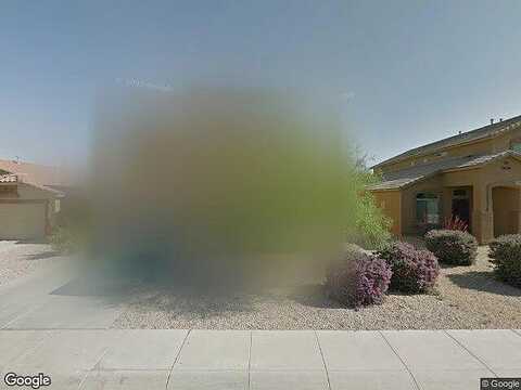 Lupine, FLORENCE, AZ 85132