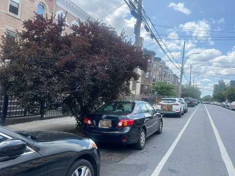 Bergen, BROOKLYN, NY 11233